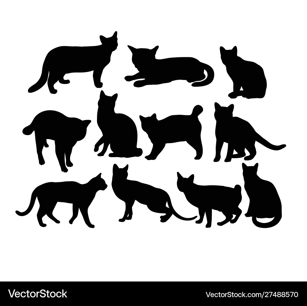 Cat Silhouettes - Elegant Collection Vector Image
