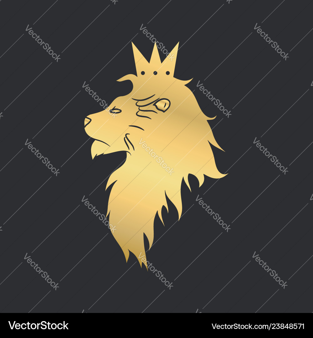 Gold lion vector image