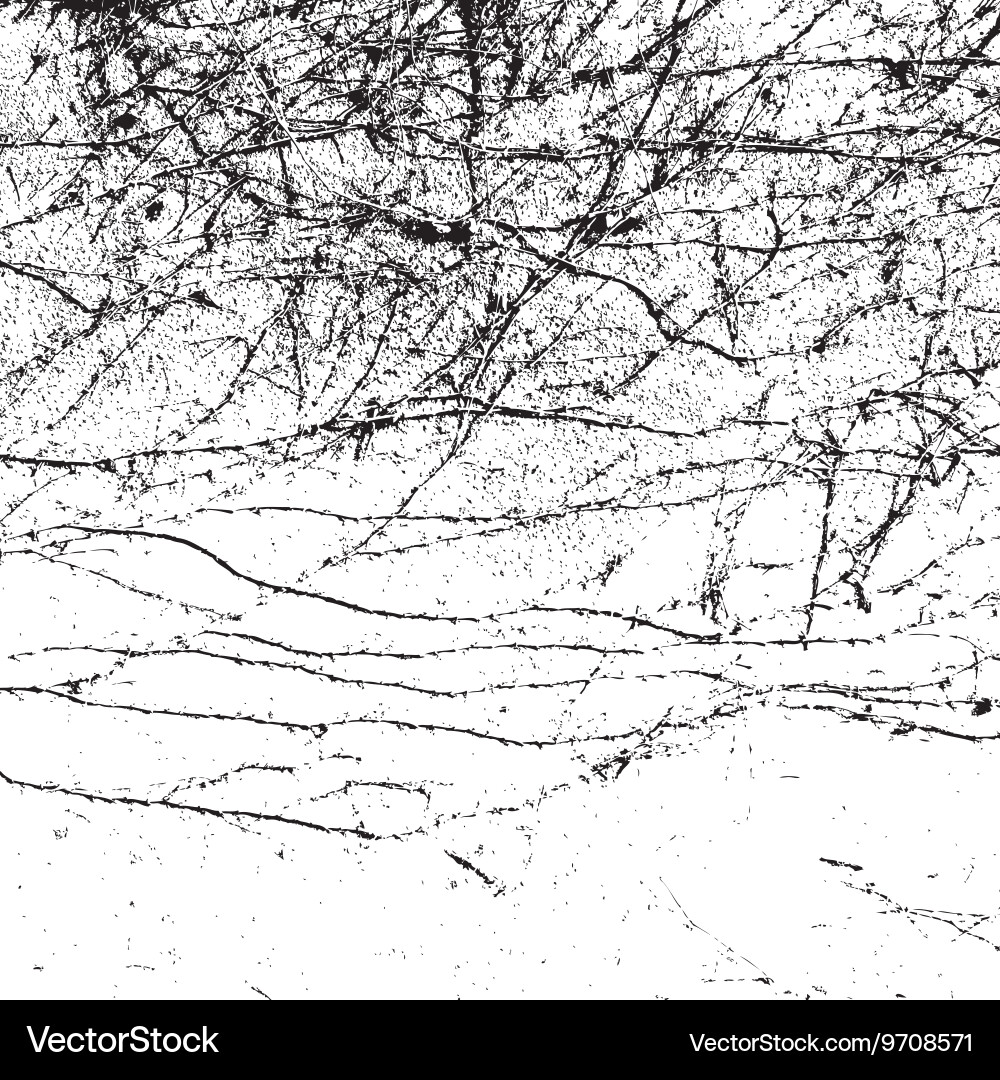 Rustic Branch Texture vector image
