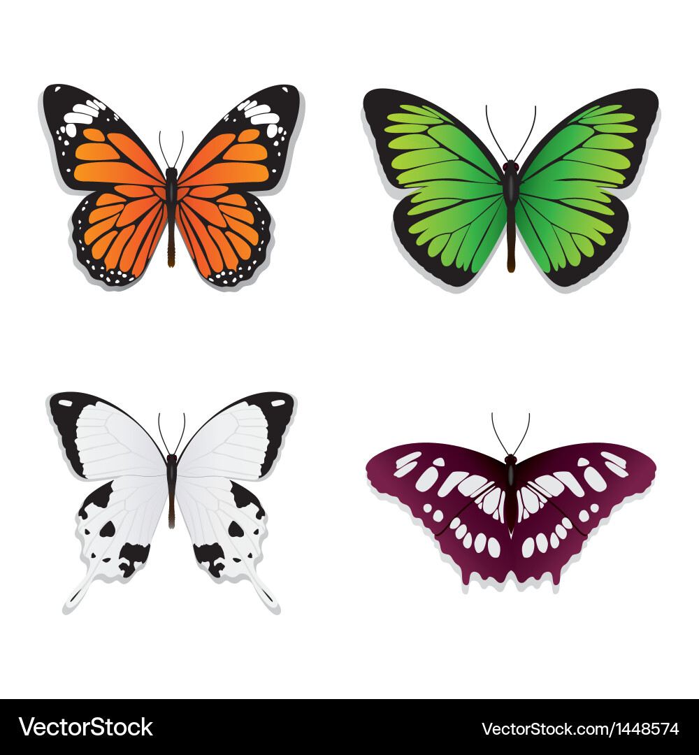 Colorful Butterfly Set vector image