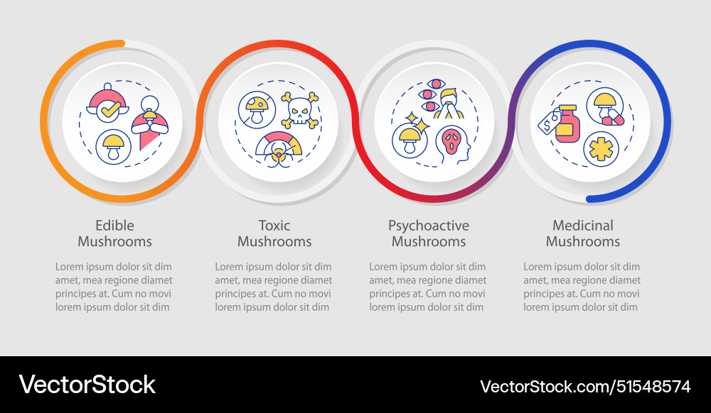 Mushroom types loop infographic template Mushroom types loop infographic template vector image