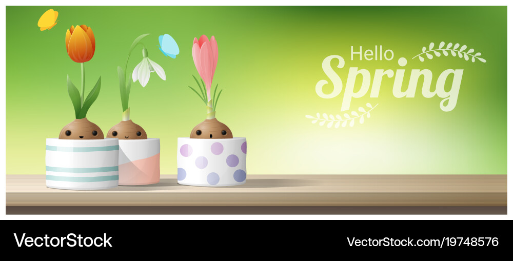 Hello spring flower with crocus tulip snowdrop Vector Image