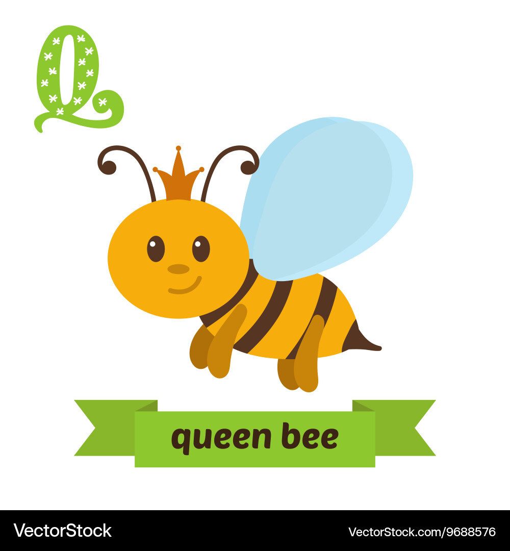 Queen bee q letter cute children animal alphabet Vector Image