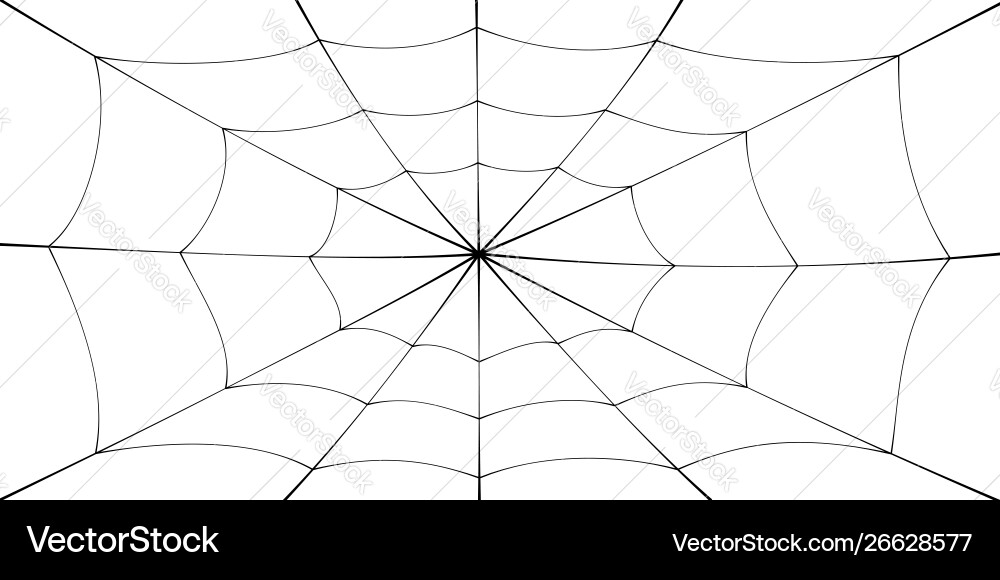 Spider web cartoon black cobweb element isolated Spider web cartoon black cobweb element isolated vector image