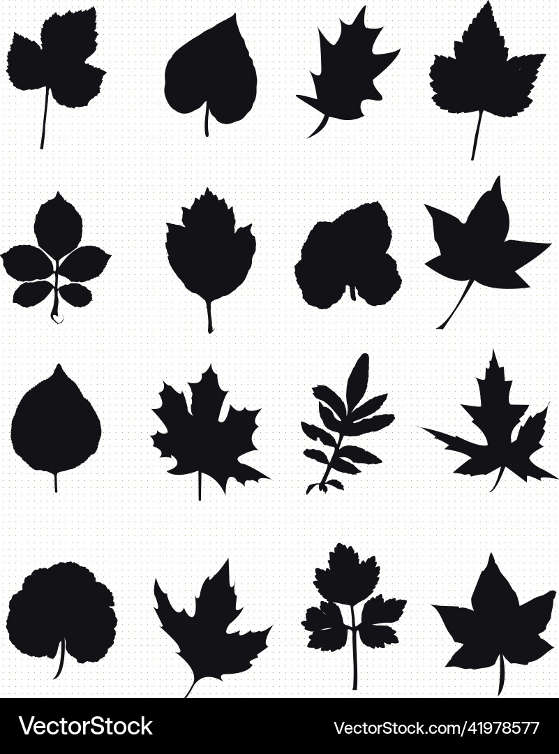 Tree leaf icon collection vector image