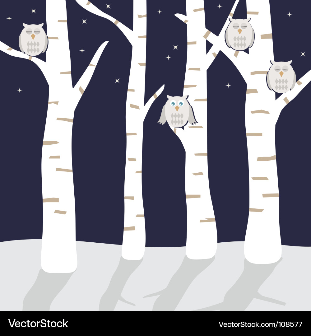 Winter Owls in Birch Trees vector image