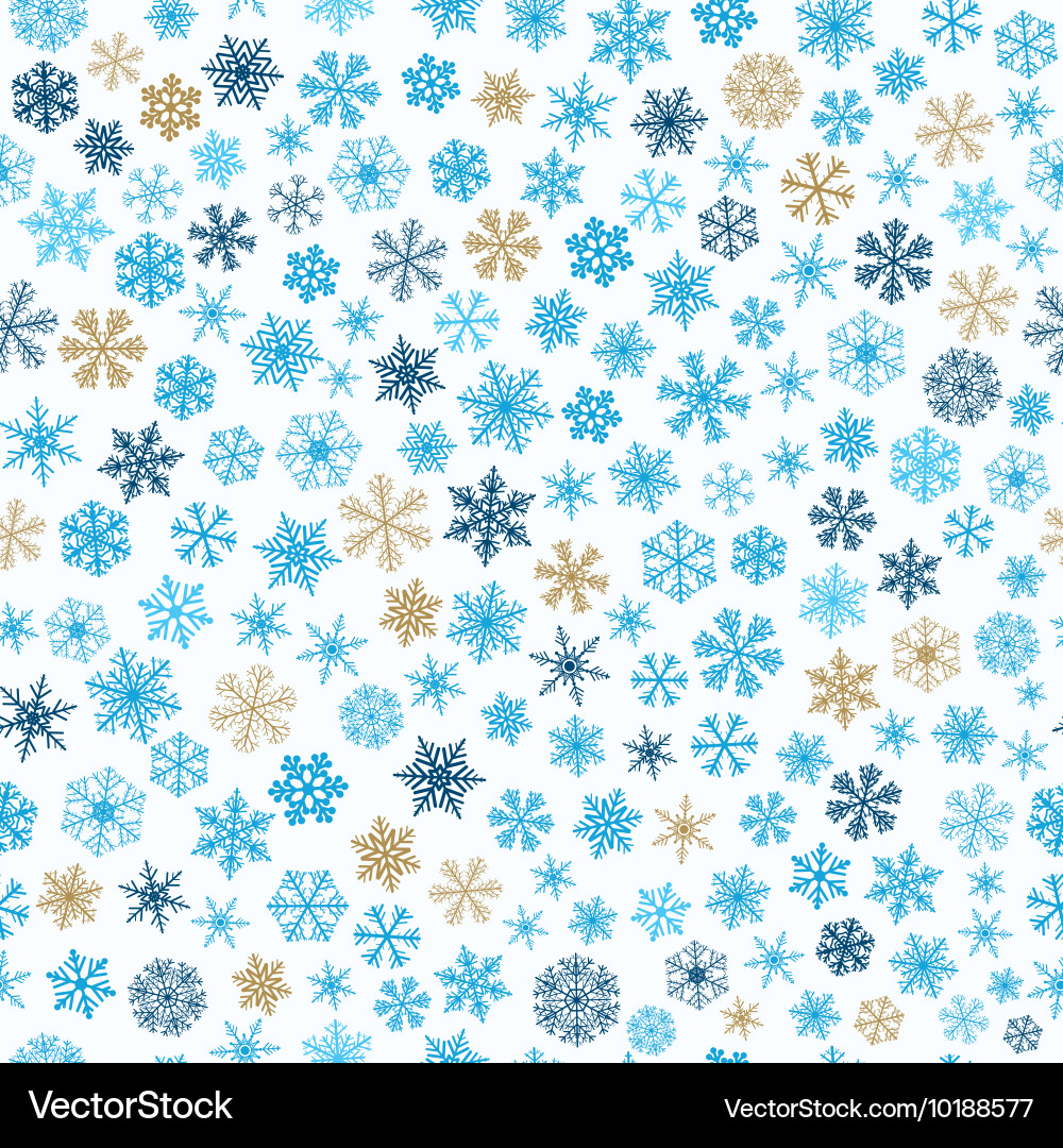 Winter Snowflake Pattern Vector Image