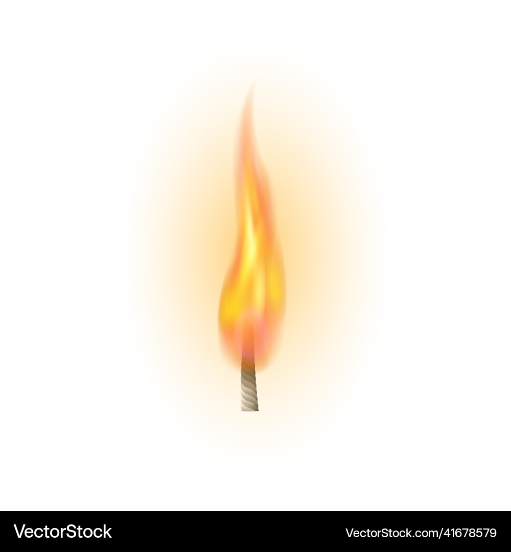 Effect of realistic flame fire vector image