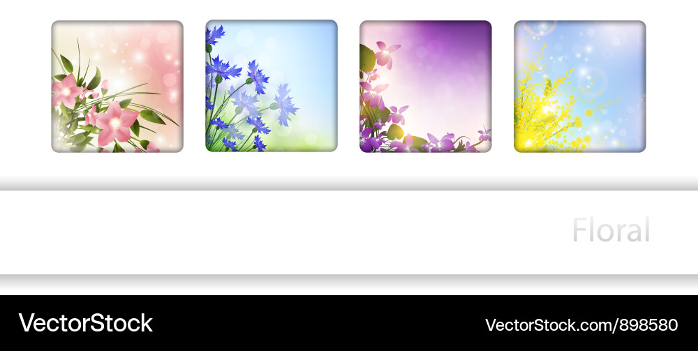 Collection with different flowers in frames vector image