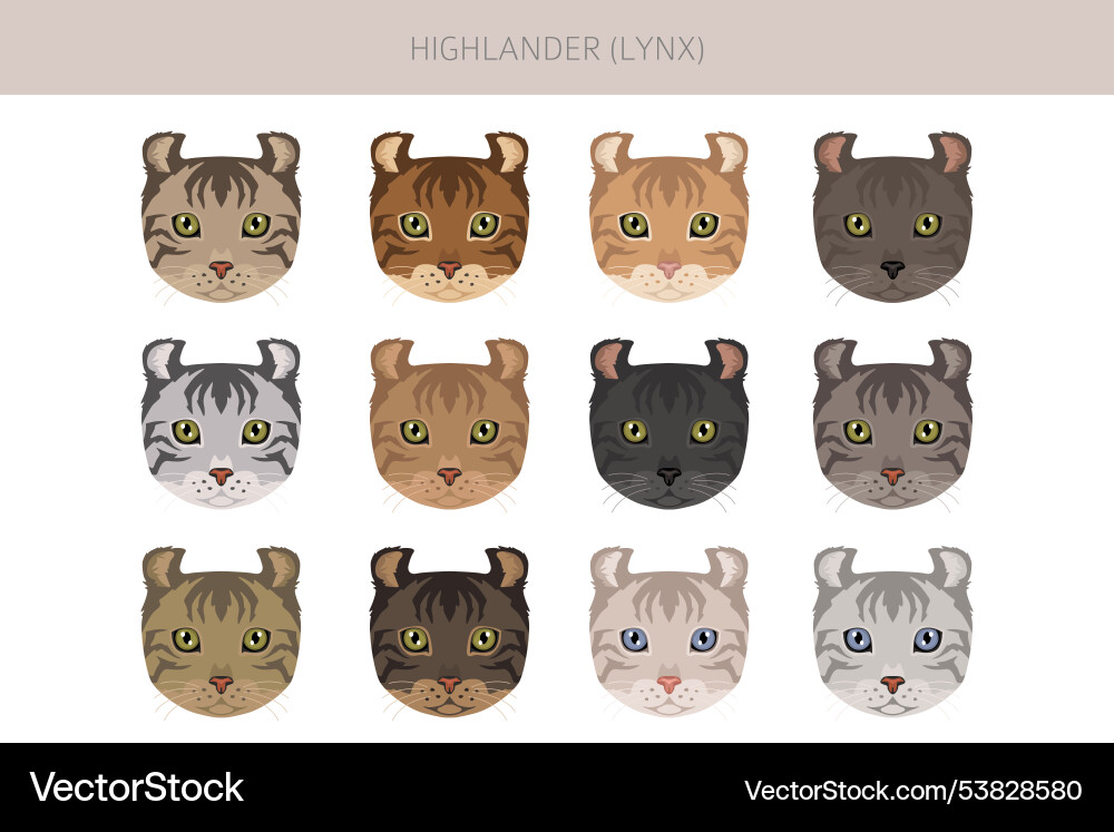 Hyghlander lynx cat clipart all coat colors set Hyghlander lynx cat clipart all coat colors set vector image