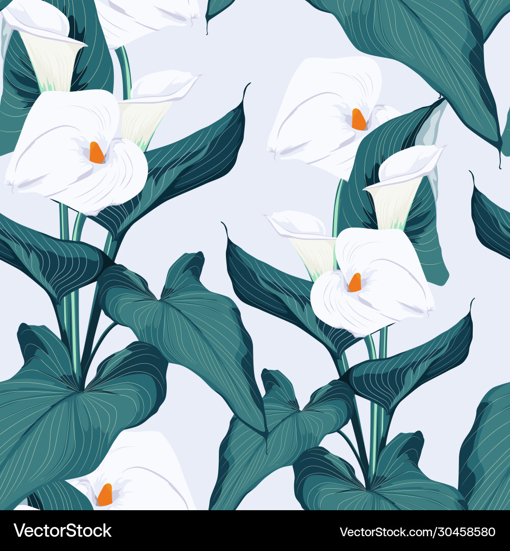 Seamless Calla Lily Pattern vector image