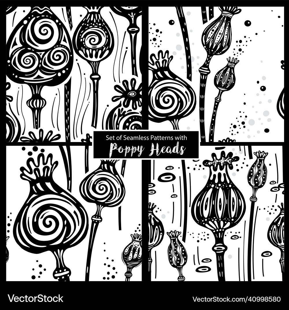 Set of seamless patterns with poppy heads vector image
