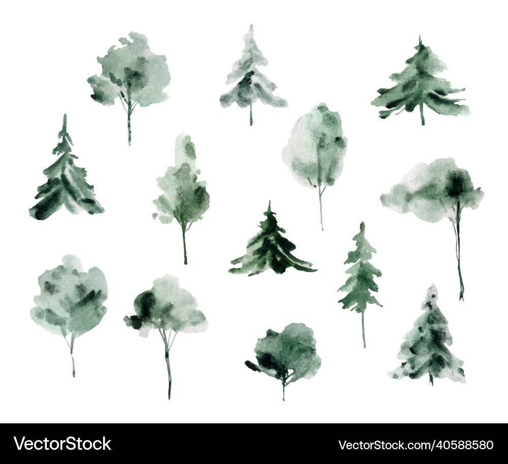 Watercolor set with silhouettes of firs and trees vector image