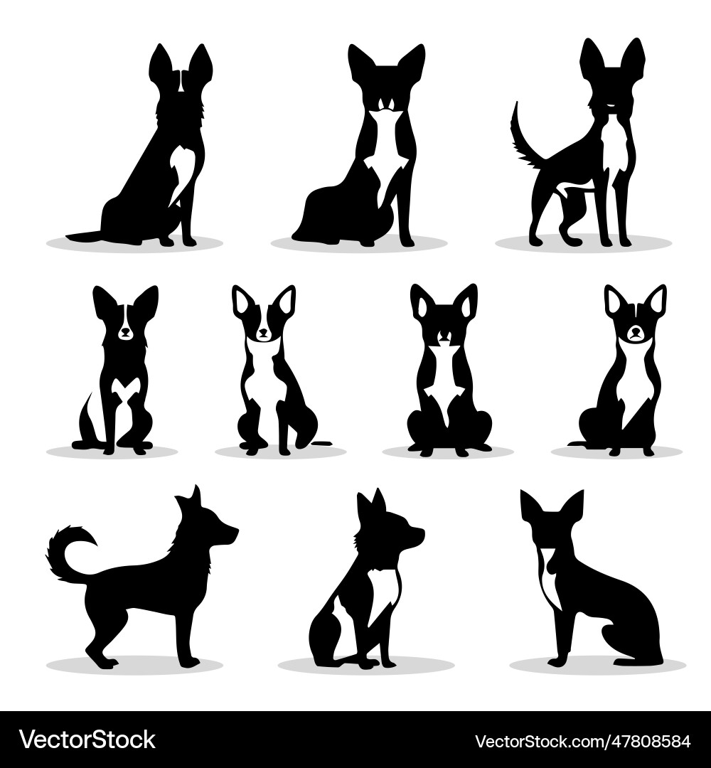 Chihuahua small dog icons and silhouettes set Chihuahua small dog icons and silhouettes set vector image