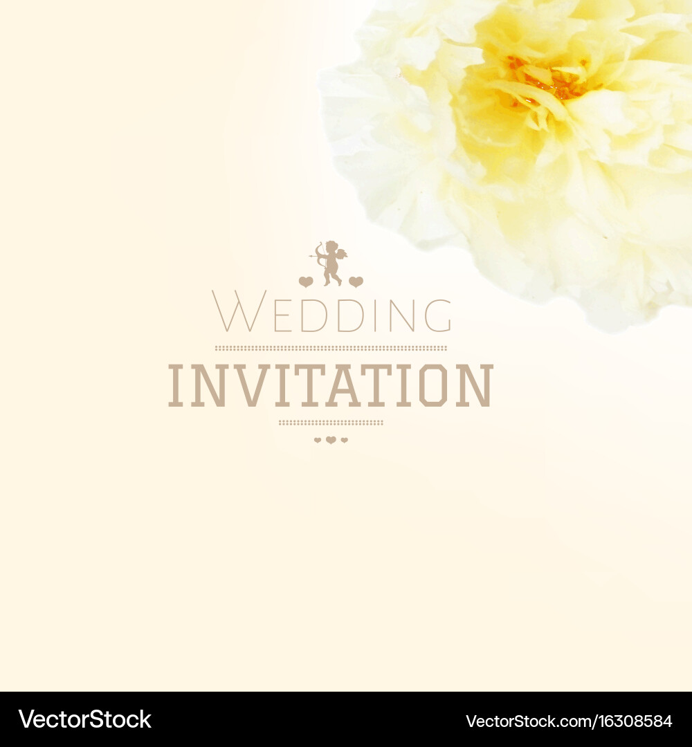 Floral Wedding Invitation Vector Image