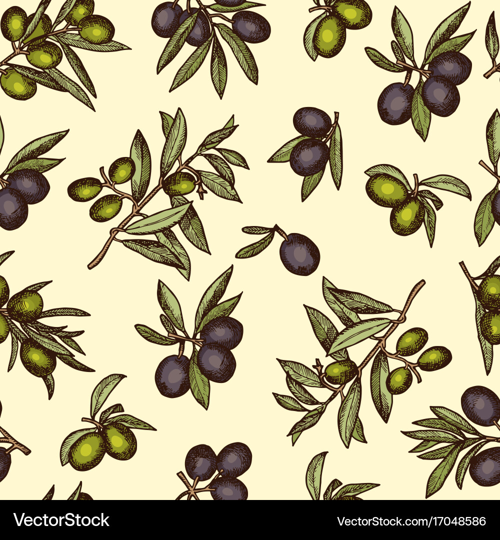 Seamless pattern with different olive products Vector Image