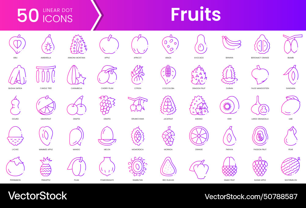 Set of fruits icons gradient style icon bundle Set of fruits icons gradient style icon bundle vector image