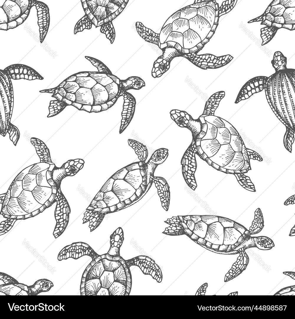 Turtle Sketches Seamless Pattern vector image