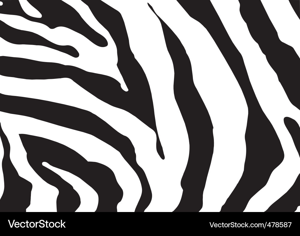Zebra Striped Wallpaper Vector Image