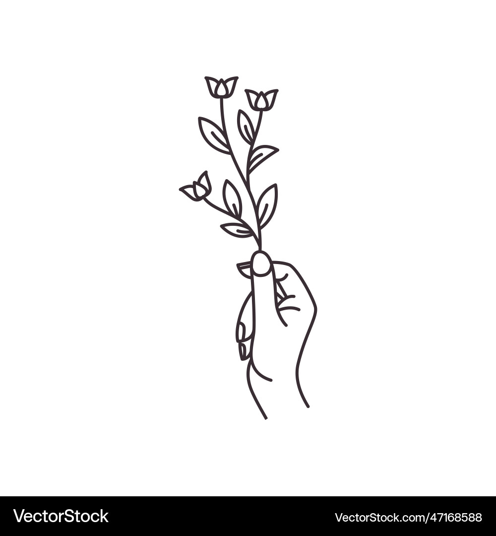 Linie Kunst Hand halten Blumen Logo Linie Kunst Hand halten Blumen Logo vektorbild