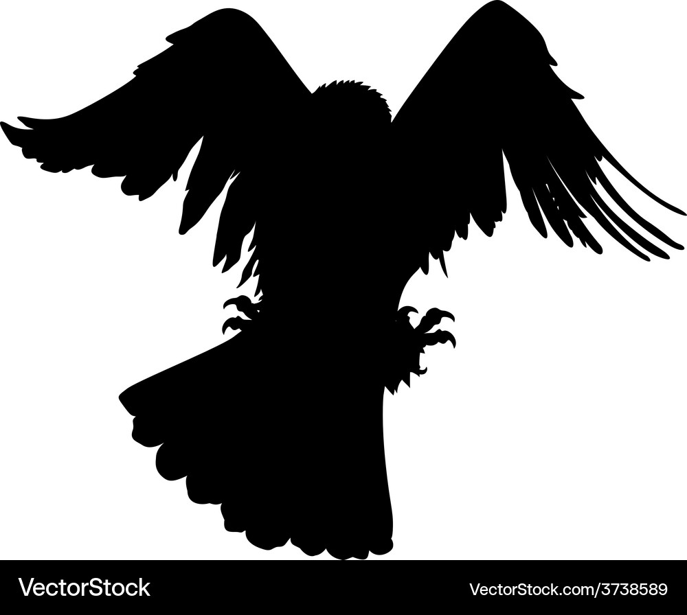 Eagle hunting Vector Image