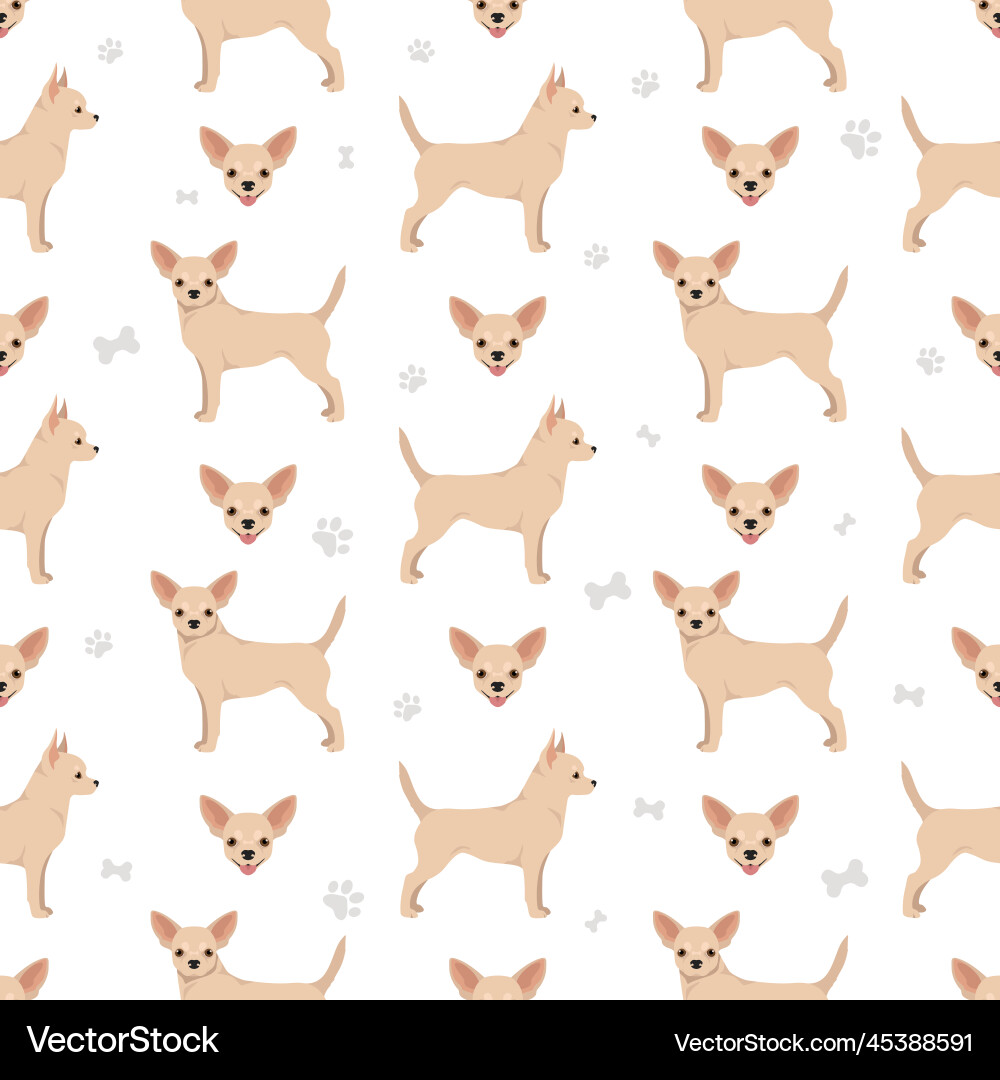 Chihuahua short haired seamless pattern Chihuahua short haired seamless pattern vector image