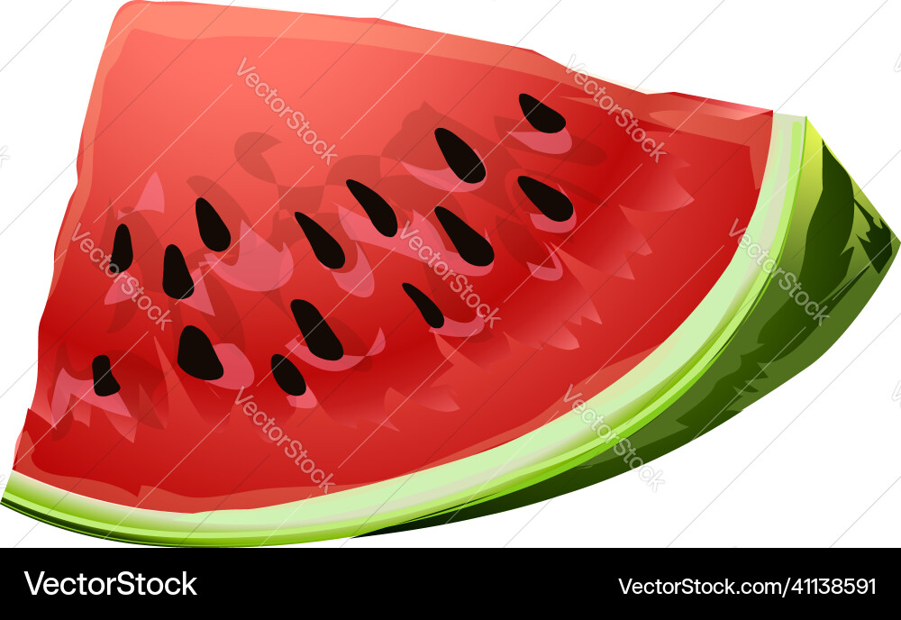 Watermelon juice icon cartoon summer fruit Watermelon juice icon cartoon summer fruit vector image