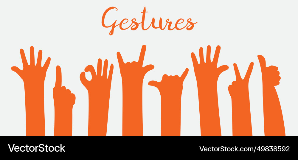 Set of hands showing different gestures vector image