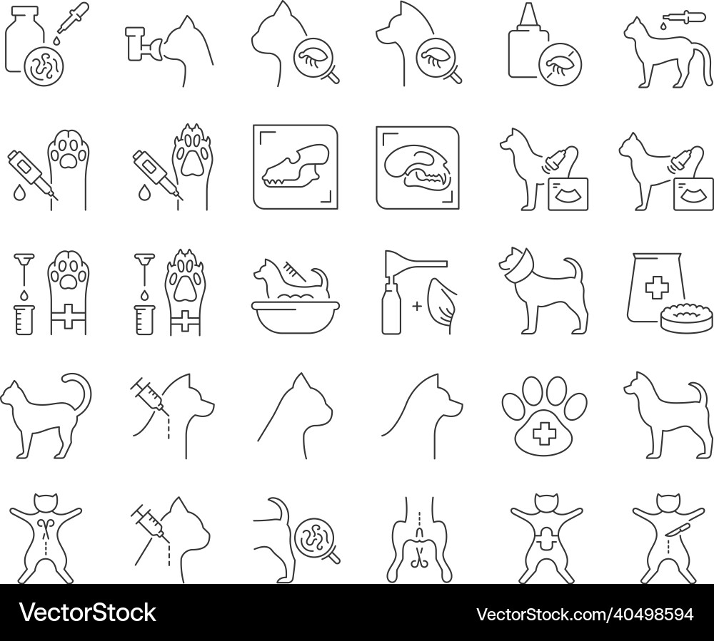 Set von linearen Icons Veterinärmedizin Set von linearen Icons Veterinärmedizin vektorbild
