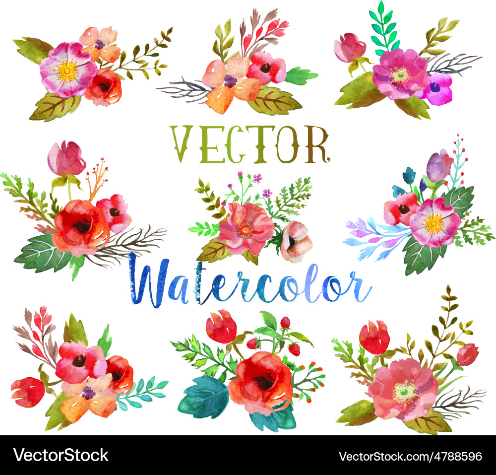 Watercolor Floral Buttonholes Vector Image