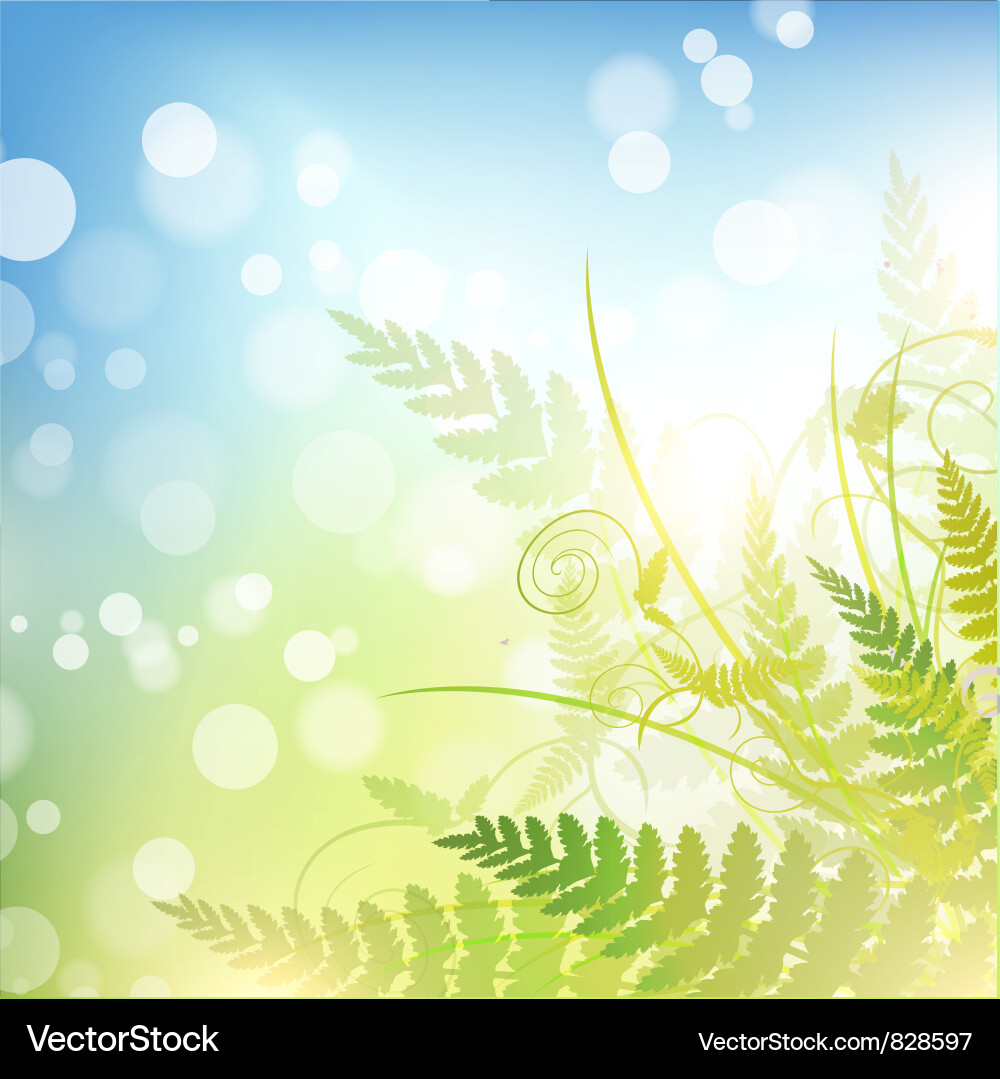 Spring Meadow Background Vector Image