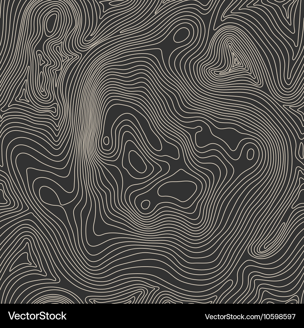 Topographic Map Pattern vector image