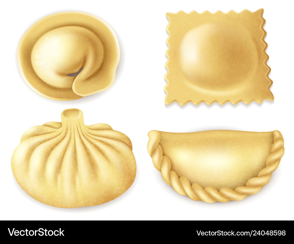 Dishes from meat and dough Dishes from meat and dough vector image