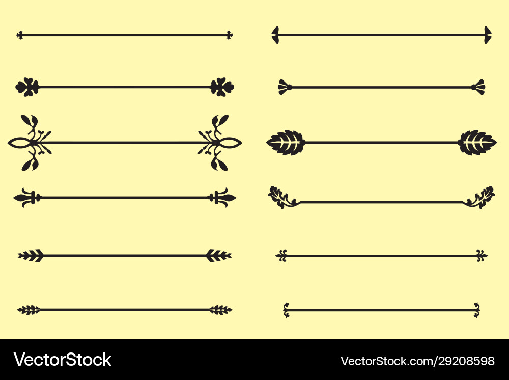 Elegant Decorative Border Elements vector image