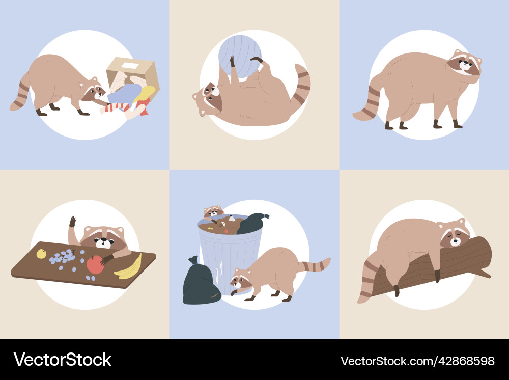 Racoon flat set Royalty Free Vector Image - VectorStock