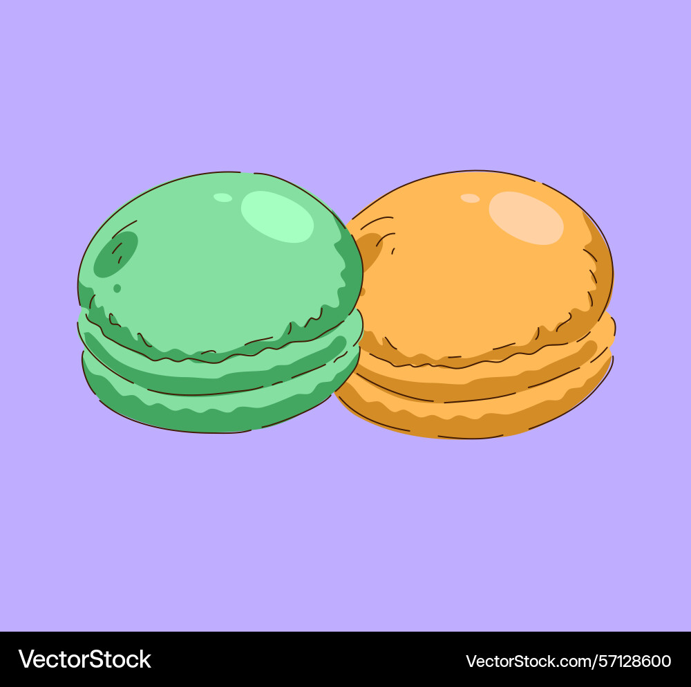 A delightful array of colorful macarons Vector Image