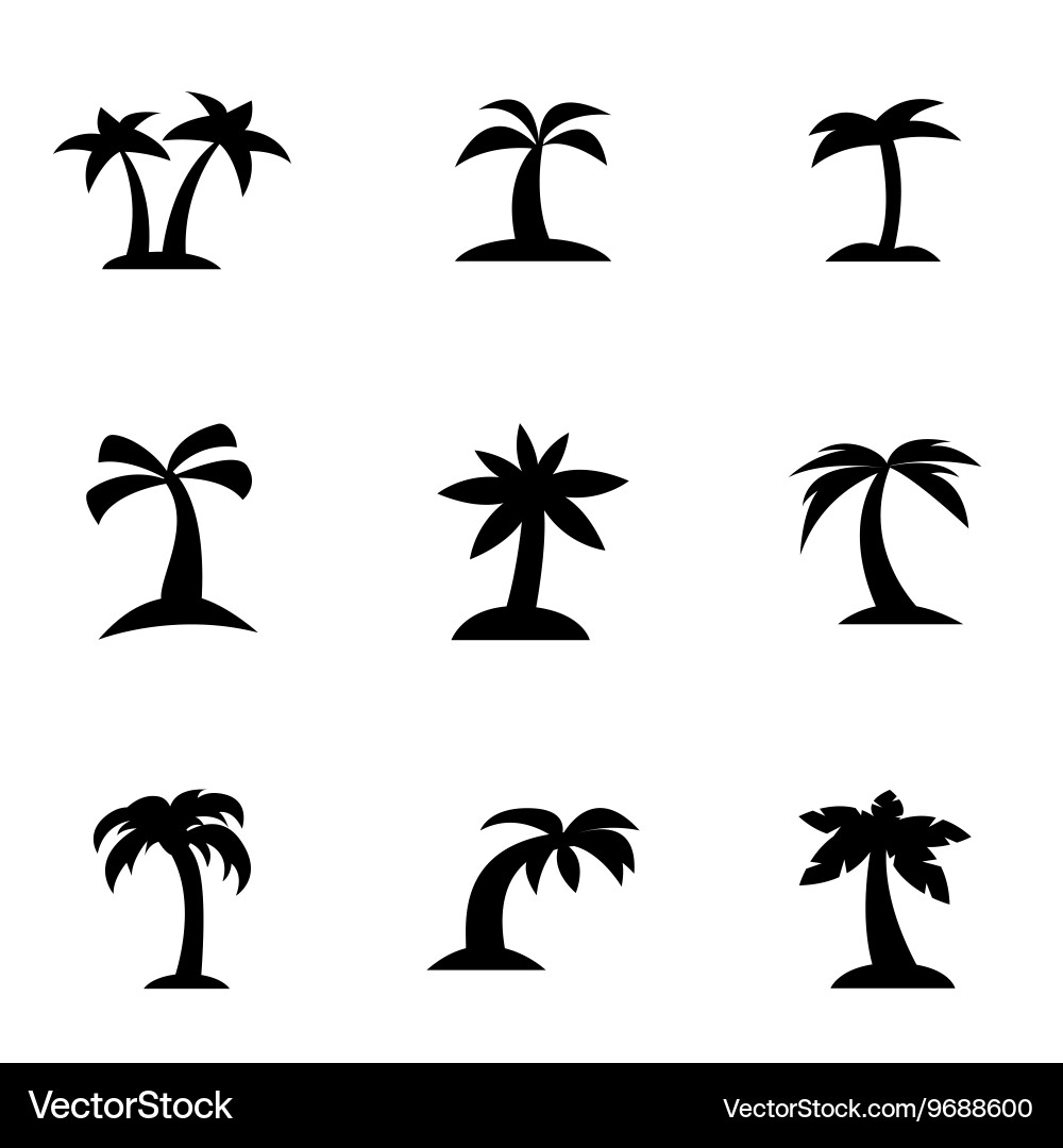 Black Palm Icon Collection vector image