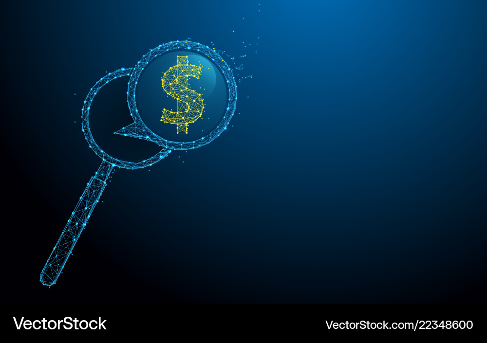 Magnifier with money icon form lines and particle Magnifier with money icon form lines and particle vector image