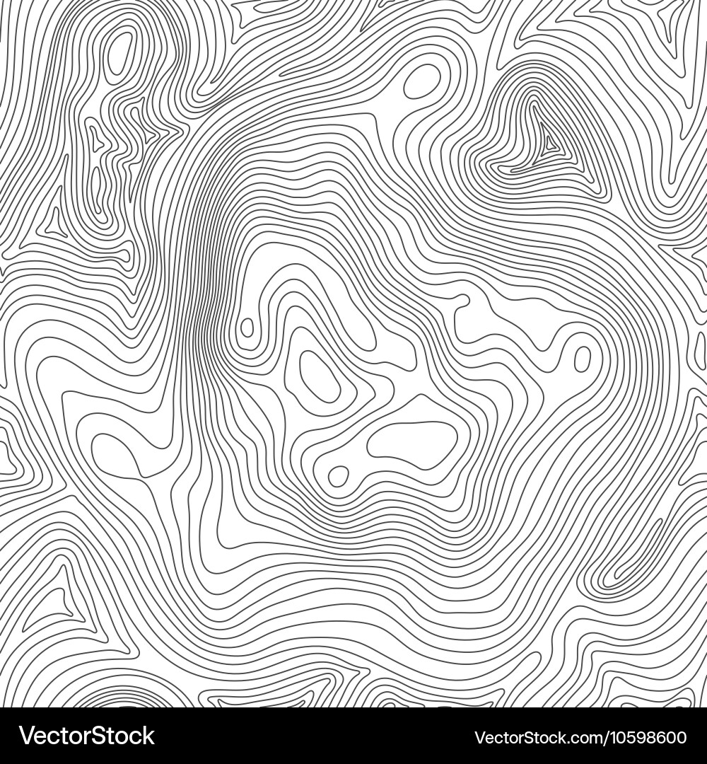 Topographic Map Pattern vector image