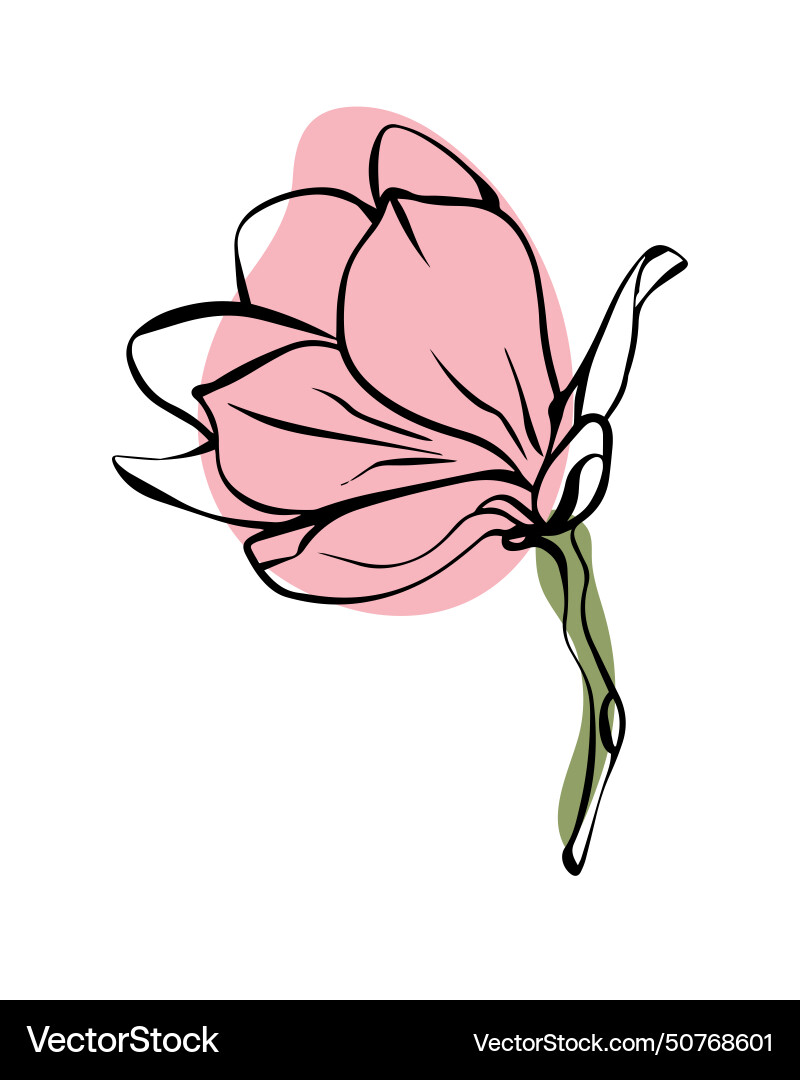 Magnolia in sketch style with abstract color Vector Image