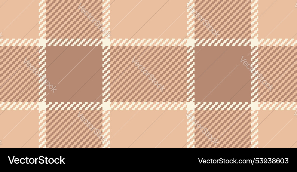Winter background check textile linear pattern Vector Image