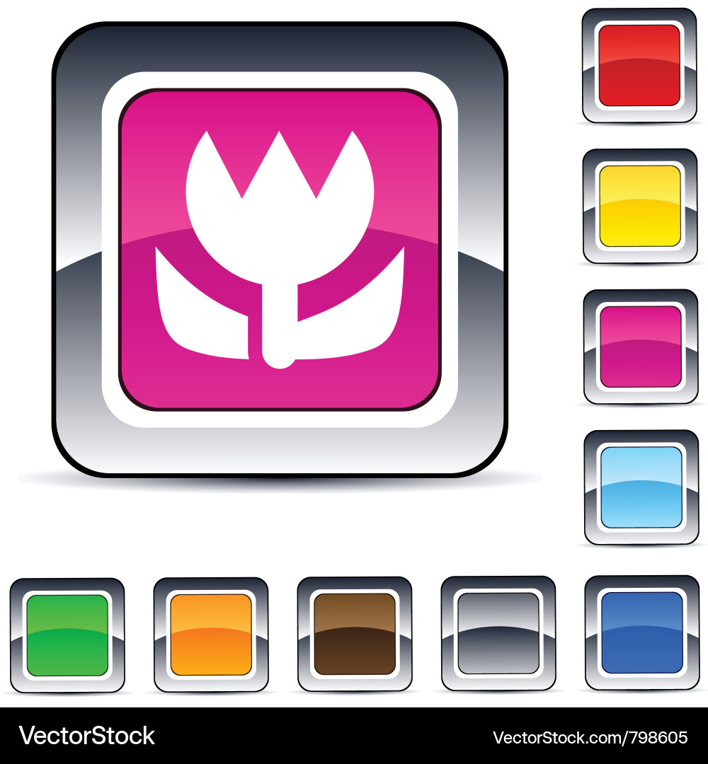 Macro square button Vector Image