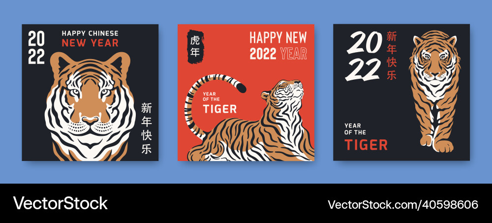 Chinese new year 2022 with tiger symbols Chinese new year 2022 with tiger symbols vector image