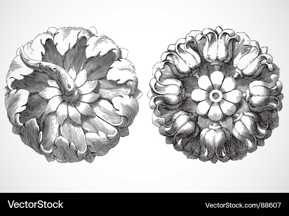 Elegant Woodcut Motifs Vector Image
