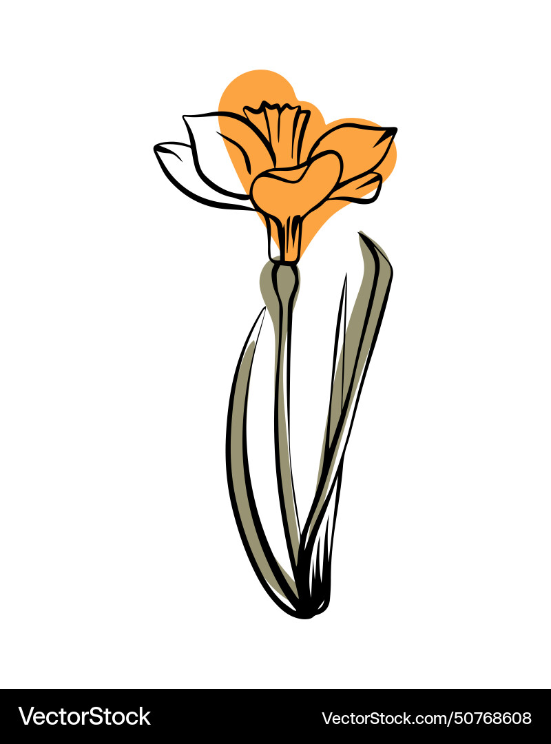 Narcissist in sketch style with abstract color Vector Image