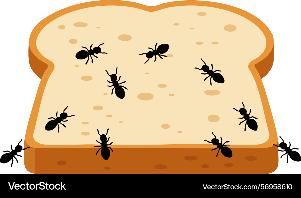 Ants crawling on slice of bread showing insect Ants crawling on slice of bread showing insect Vector Image