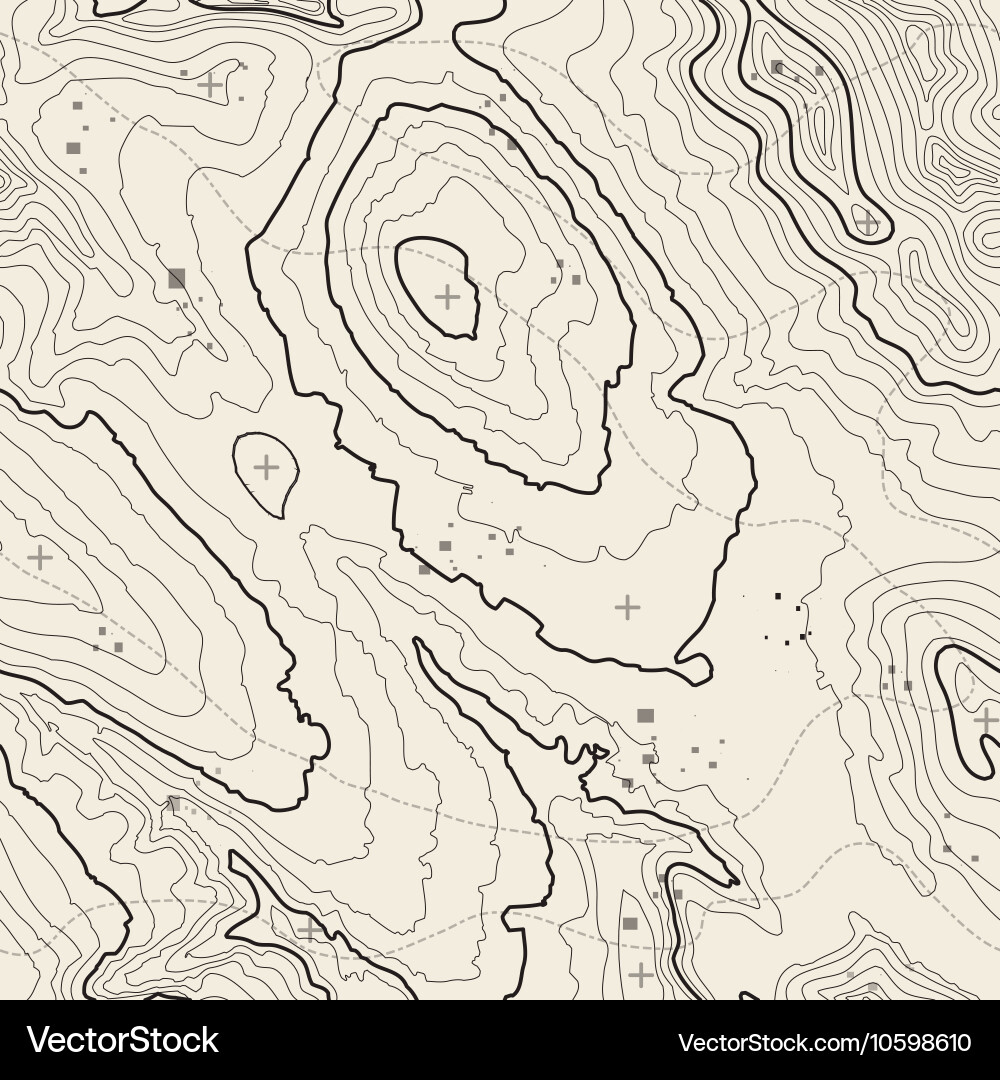 Topographic map background concept with space vector image