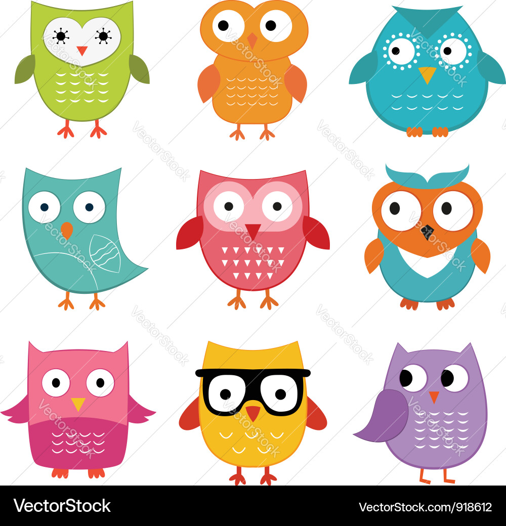Adorable Owl Set Vector Image