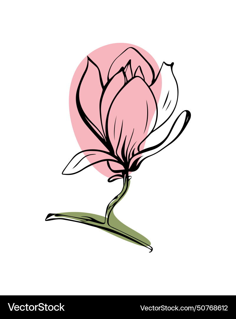 Magnolia in sketch style with abstract color Magnolia in sketch style with abstract color Vector Image