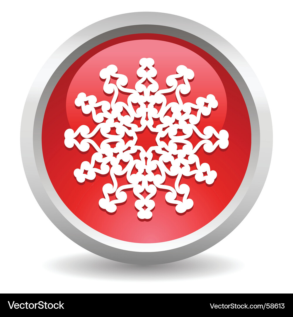 Snowy Button Icon Vector Image